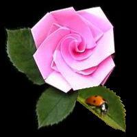 
<span>Bird Base Rose</span>
