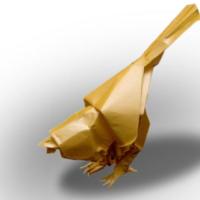
<span>TIT</span>
