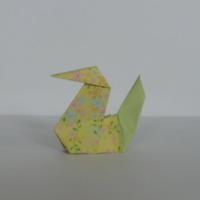 
<span>Ducks</span>
