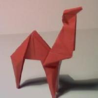 
<span>Camel</span>
