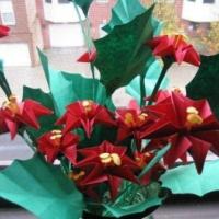 
<span>Xmas Origami Pointsettias</span>
