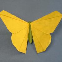 
<span>Butterfly</span>
