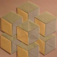 
<span>Paradox Cubes</span>
