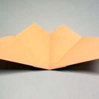 
<span>Butterfly</span>

