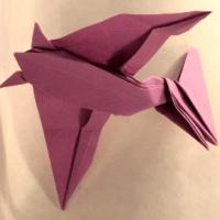 
<span>Tapejara</span>

