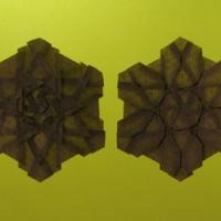 
<span>Aztec Twist</span>
