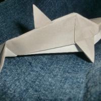 
<span>Dolphin</span>
