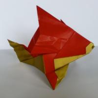 
<span>The Dusky Grouper</span>
