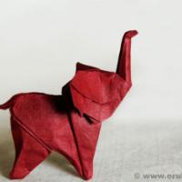 
<span>Elephant</span>
