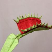 
<span>Venus Flytrap</span>
