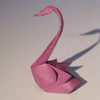 
<span>Swan</span>
