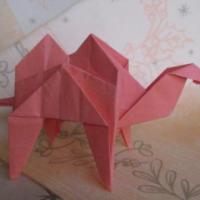 
<span>Camel</span>

