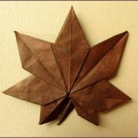 
<span>Maple Leaf</span>
