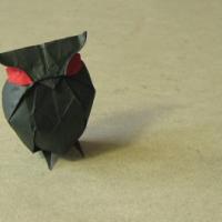 
<span>Owl</span>
