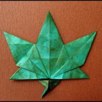 
<span>Maple Leaf</span>
