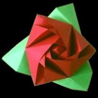 
<span>Magic Rose Cube</span>

