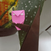 
<span>owl</span>
