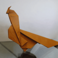 
<span>male pheasant</span>
