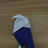 
<span>eagle</span>

