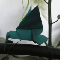 
<span>humming bird</span>
