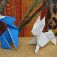 
<span>rabbit</span>
