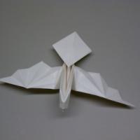 
<span>Dove</span>
