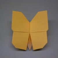 
<span>Butterfly</span>
