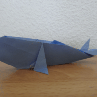 
<span>sperm whale</span>
