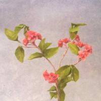 
<span>Cherry Blossom</span>
