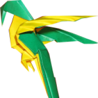 
<span>Macaw</span>
