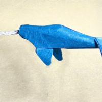 
<span>Narwhal</span>
