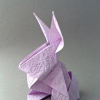 
<span>Bunny</span>
