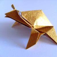 
<span>Little Toad</span>
