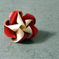 
<span>Twirl from 10 \Just Twist\" Modules (video)"</span>

