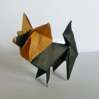 
<span>Papillon</span>
