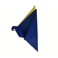 
<span>Flapping Parrot</span>

