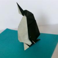 
<span>Penguin</span>
