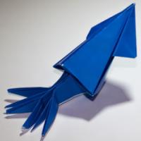 
<span>Squid</span>
