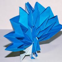 
<span>Peacock</span>
