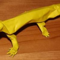 
<span>Leopard Gecko</span>
