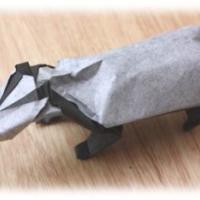 
<span>Badger</span>
