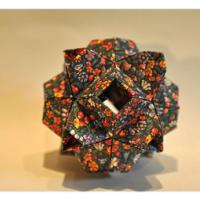 
<span>Little Turtle (30 Units)</span>

