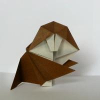 
<span>Pavian</span>
