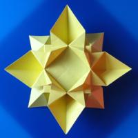 
<span>Flower or star 2</span>
