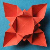 
<span>Flower or star</span>
