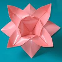 
<span>flower</span>
