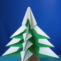 
<span>Fir tree</span>
