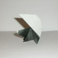 
<span>Skunk</span>
