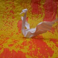 
<span>Swan</span>
