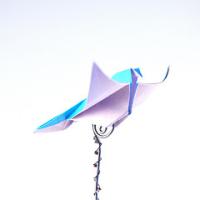 
<span>songbird</span>
